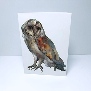 Barn Owl Greetings Card