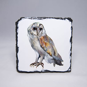 Barn Owl Slate Coaster
