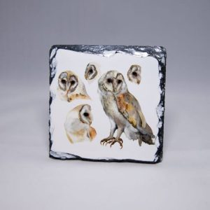 Barn Owl Study Slate Coaster