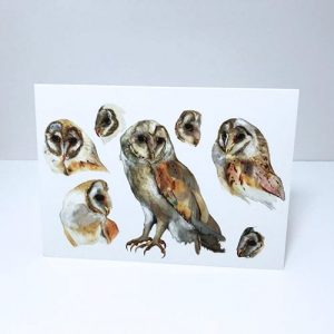Barn Owl Study Greetings Card