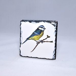 Blue Tit Slate Coaster