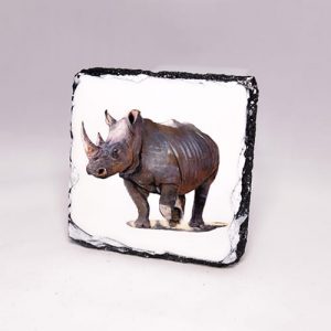 Charge Slate Coaster