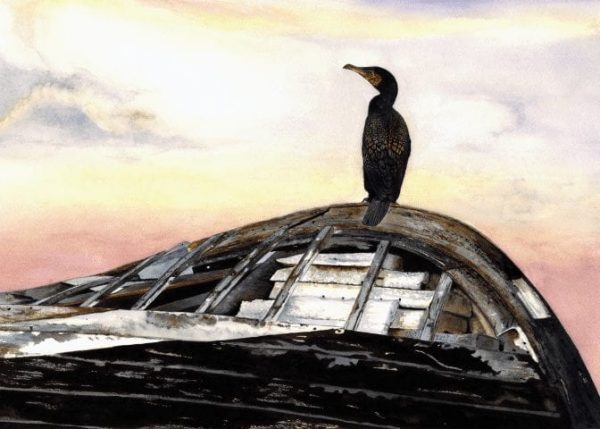 Cormorant Print