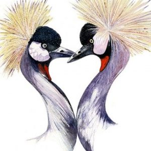 Crowned Cranes Print