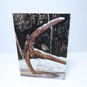 Grounded Greetings Card