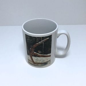 Grounded Ceramic Mug