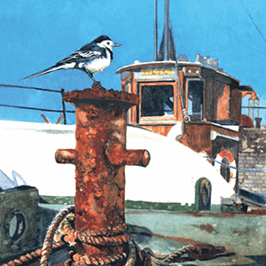 Harbour Visitor Print