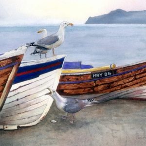 Herring Gulls Print