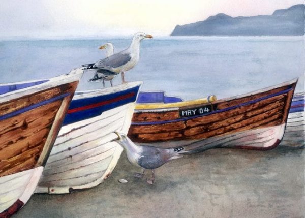 Herring Gulls Print