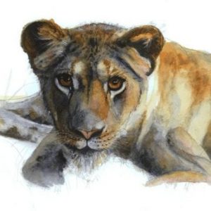 Lion Cub Print