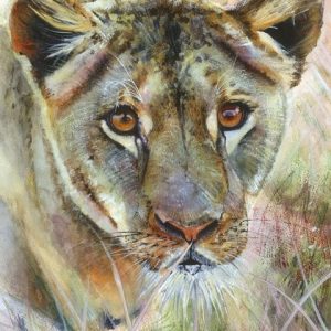 Lioness Print