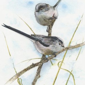 Long Tailed Tits Print