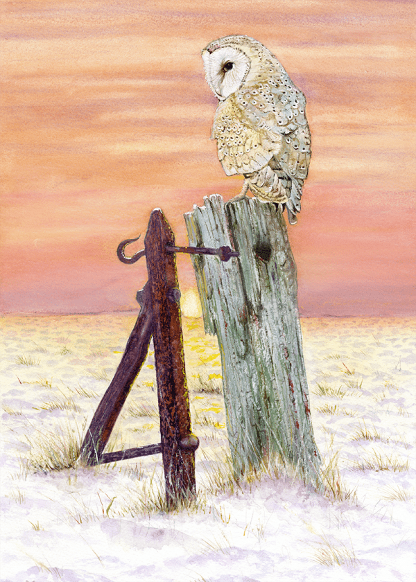 Winter Sentinel Print
